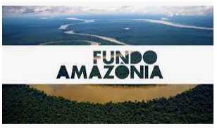 Orçamento do Meio Ambiente depende do Fundo Amazônia
