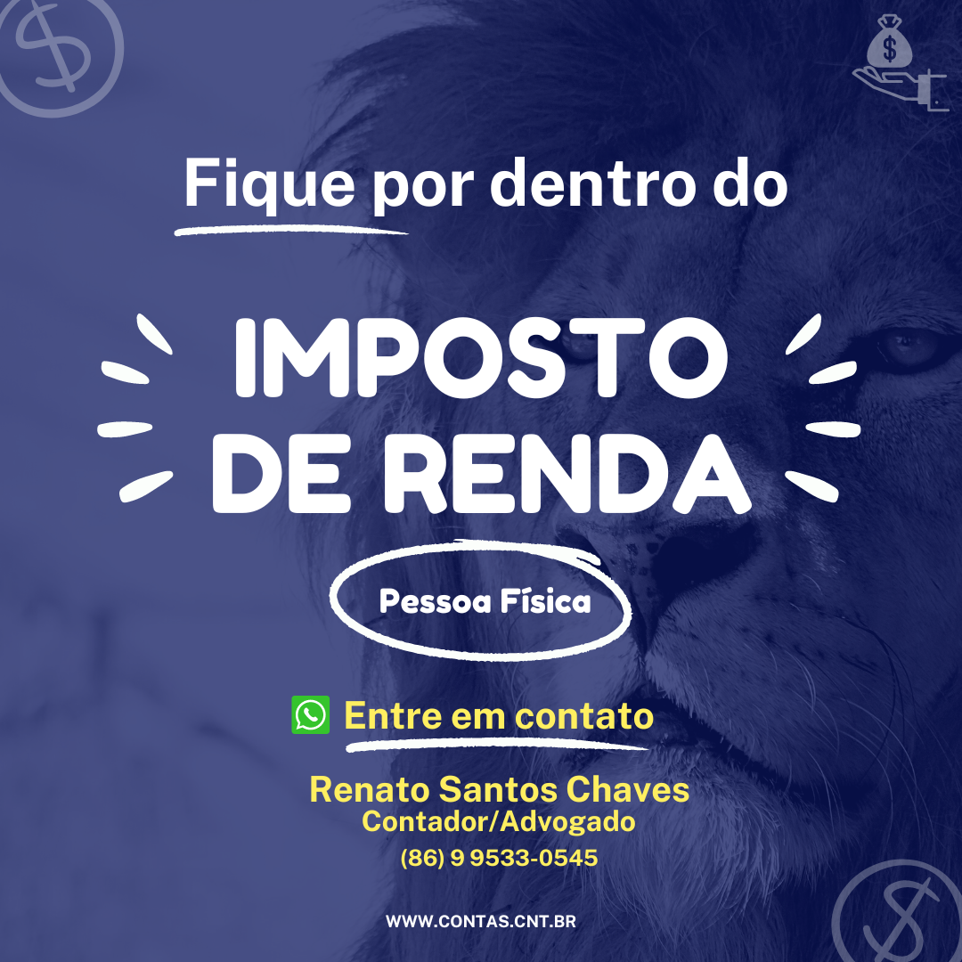 Declaração do Imposto de Renda Pessoa Física (DIRPF) e o Financiamento de Políticas Públicas