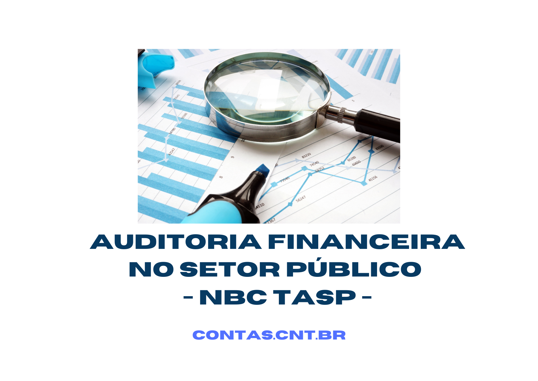 Auditoria Financeira no Setor Público