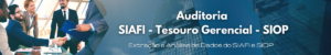 SIAFI_TESOURO GERENCIAL_SIOP