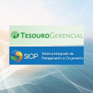 Tesouro Gerencial